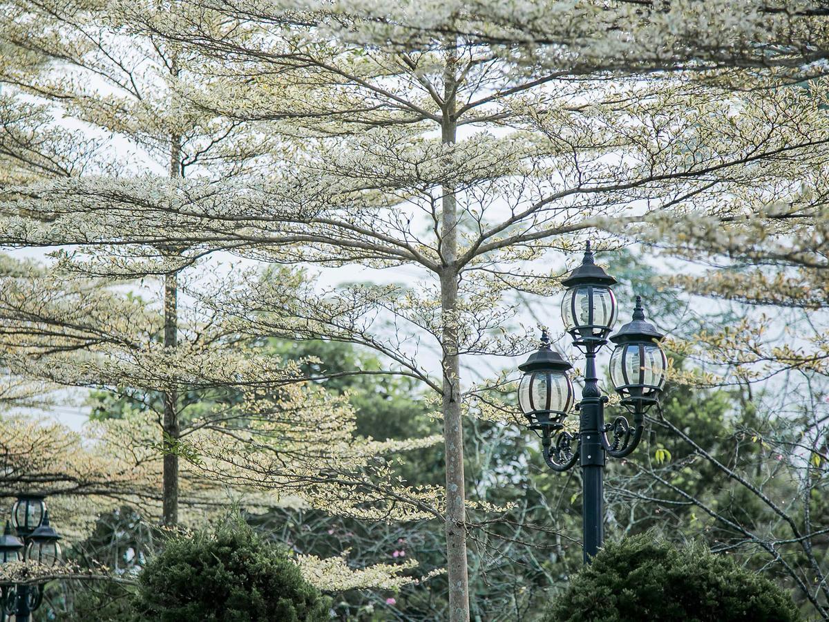 Flying Villa Nantou Luaran gambar